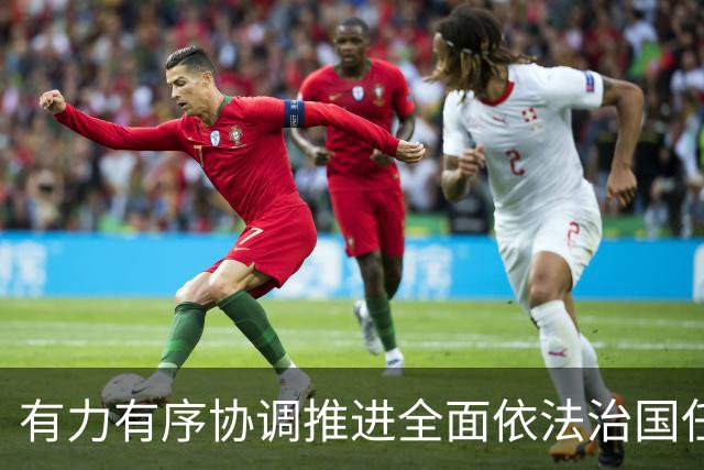 有力有序协调推进全面依法治国任务落实（权威发布·开局起步“十五五”）
